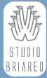 Studio Briareo